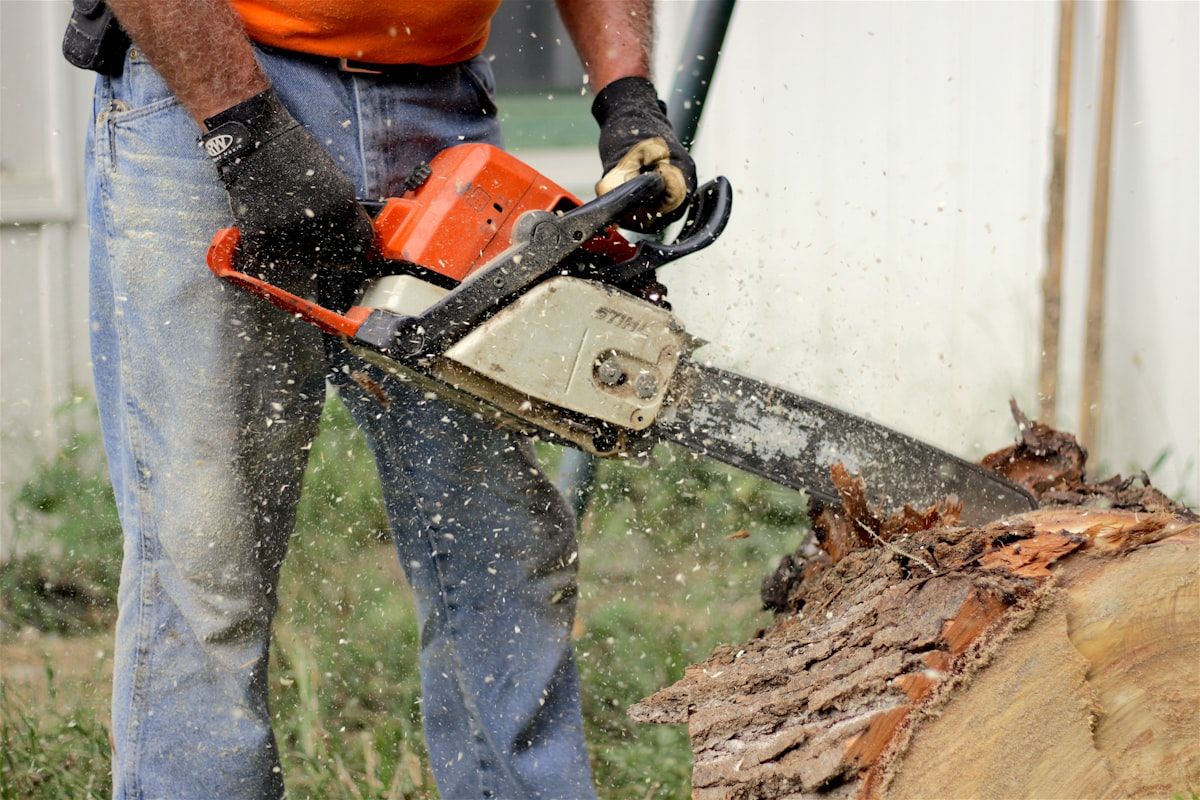 Arborist running a chainsaw through a felled tree trunk on a tree removal job